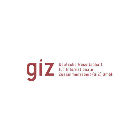 GIZ Logo GIZ